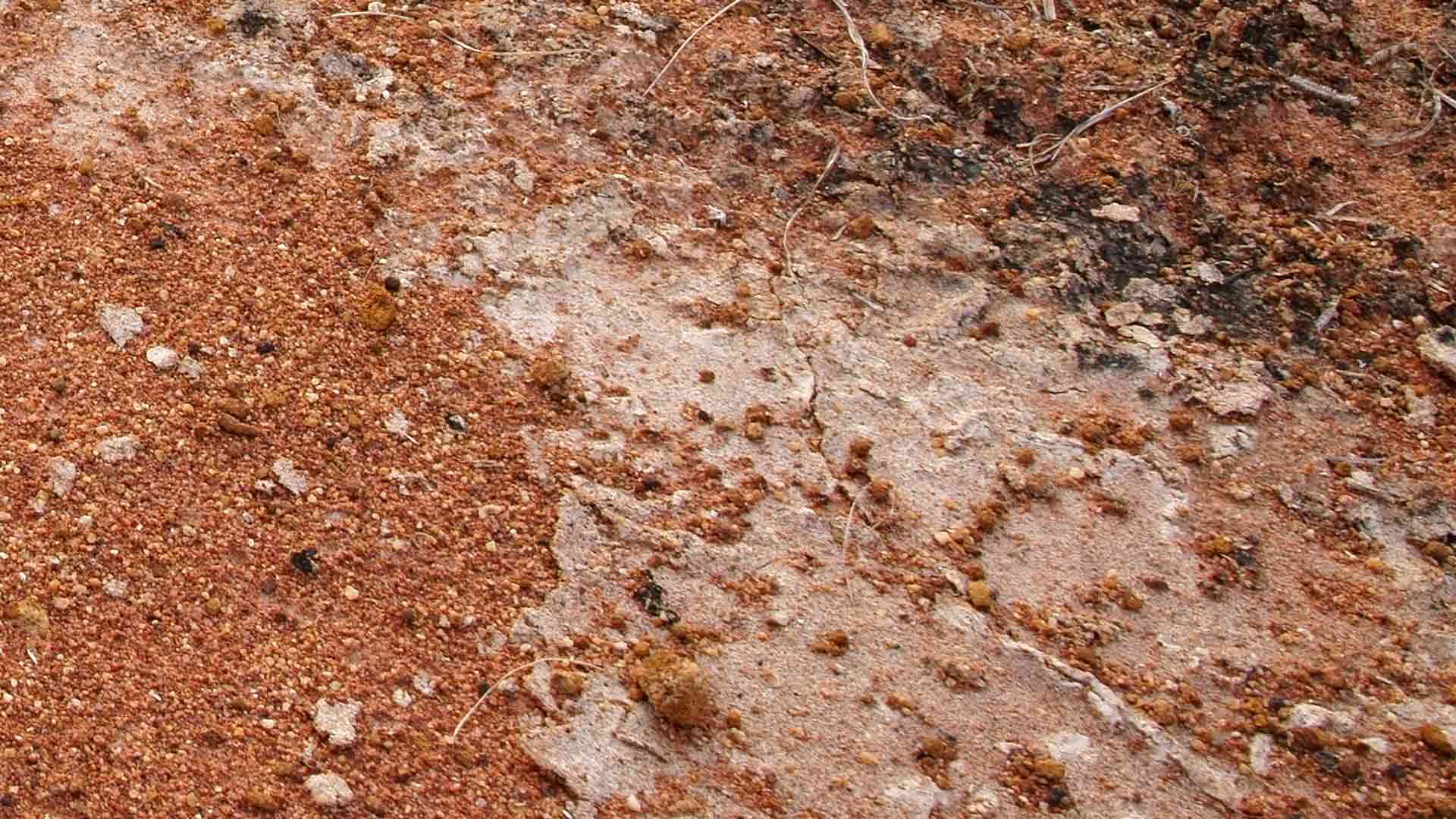 Acid Sulphate Soils